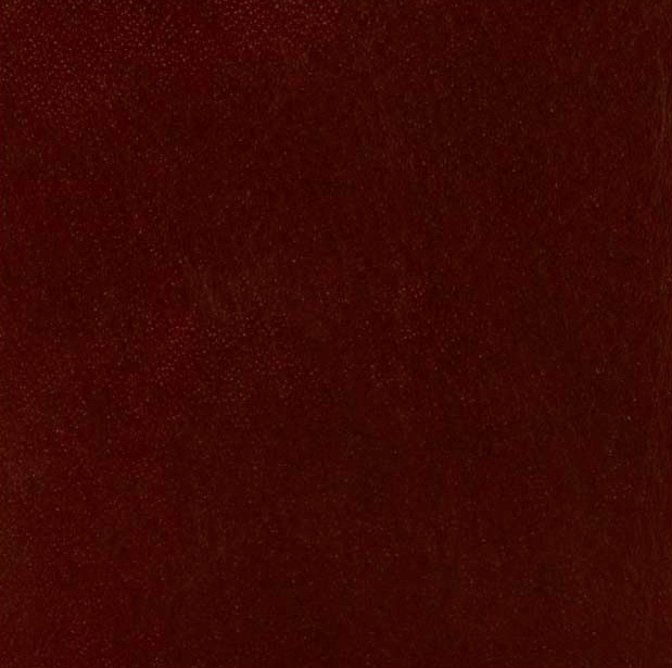 Burgundy | Silver Spring MD photographer of newborn baby, children